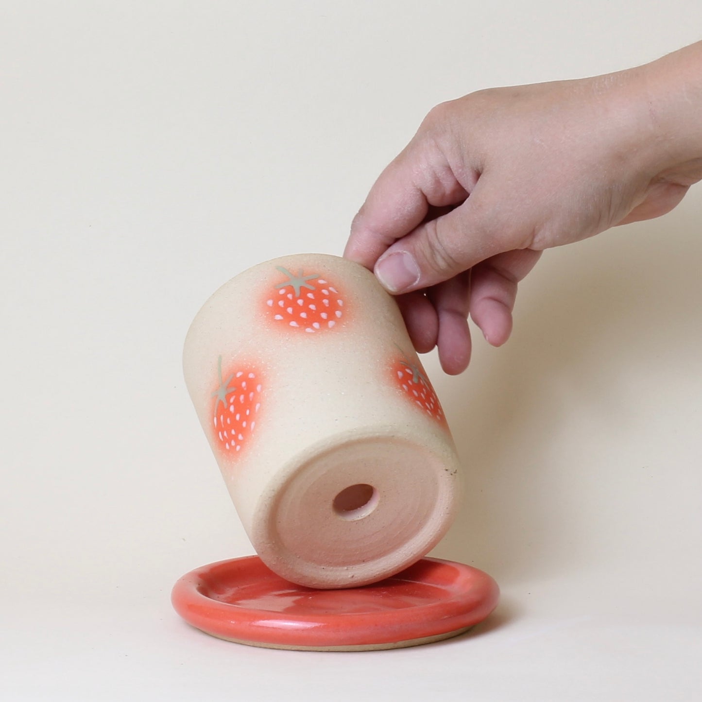 Strawberry Mini Planter